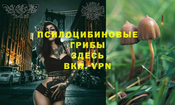гашик Балабаново