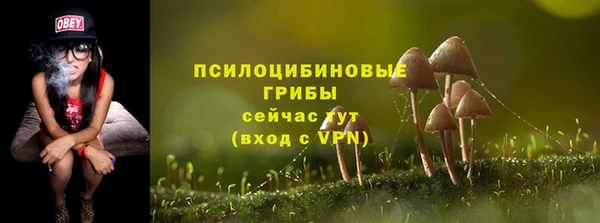 гашик Балабаново